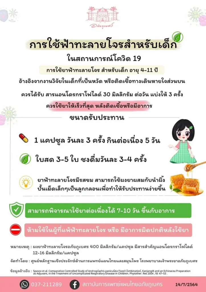 หมอธีระวัฒน์ แนะนำ "ฟ้าทะลายโจร" รักษาเด็กติดโควิด ใช้ต่อเนื่องขั้นต่ำ 5 วัน