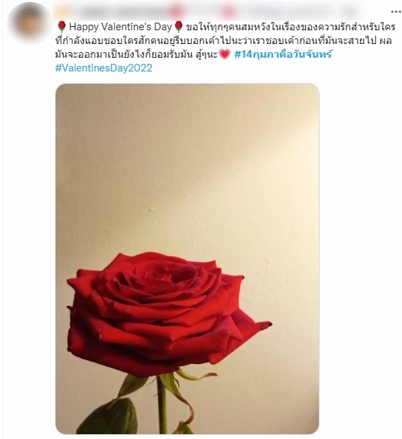 เปิดวิธีคนโสดเอาตัวรอด วาเลนไทน์ โซเชียลแห่ติดแท็ก #14กุมภาคือวันจันทร์