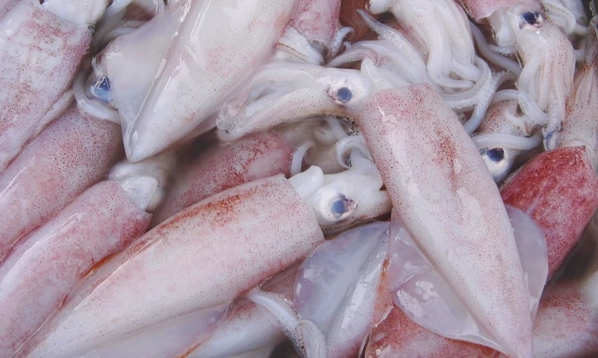 &quot;หมอแล็บ&quot; เตือนกินเมนู &quot;หมึกช็อต&quot; ระวังเชื้อโรคและพยาธิ