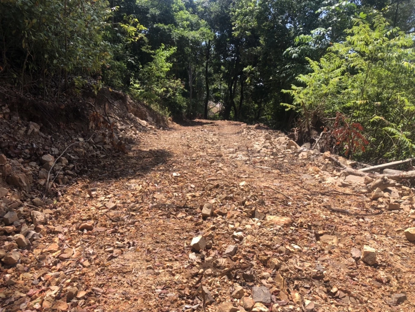 กรมศิลป์ฯแจ้งความกลุ่มทุนแผ้วถางโบราณสถานเมืองเก่าสงขลา