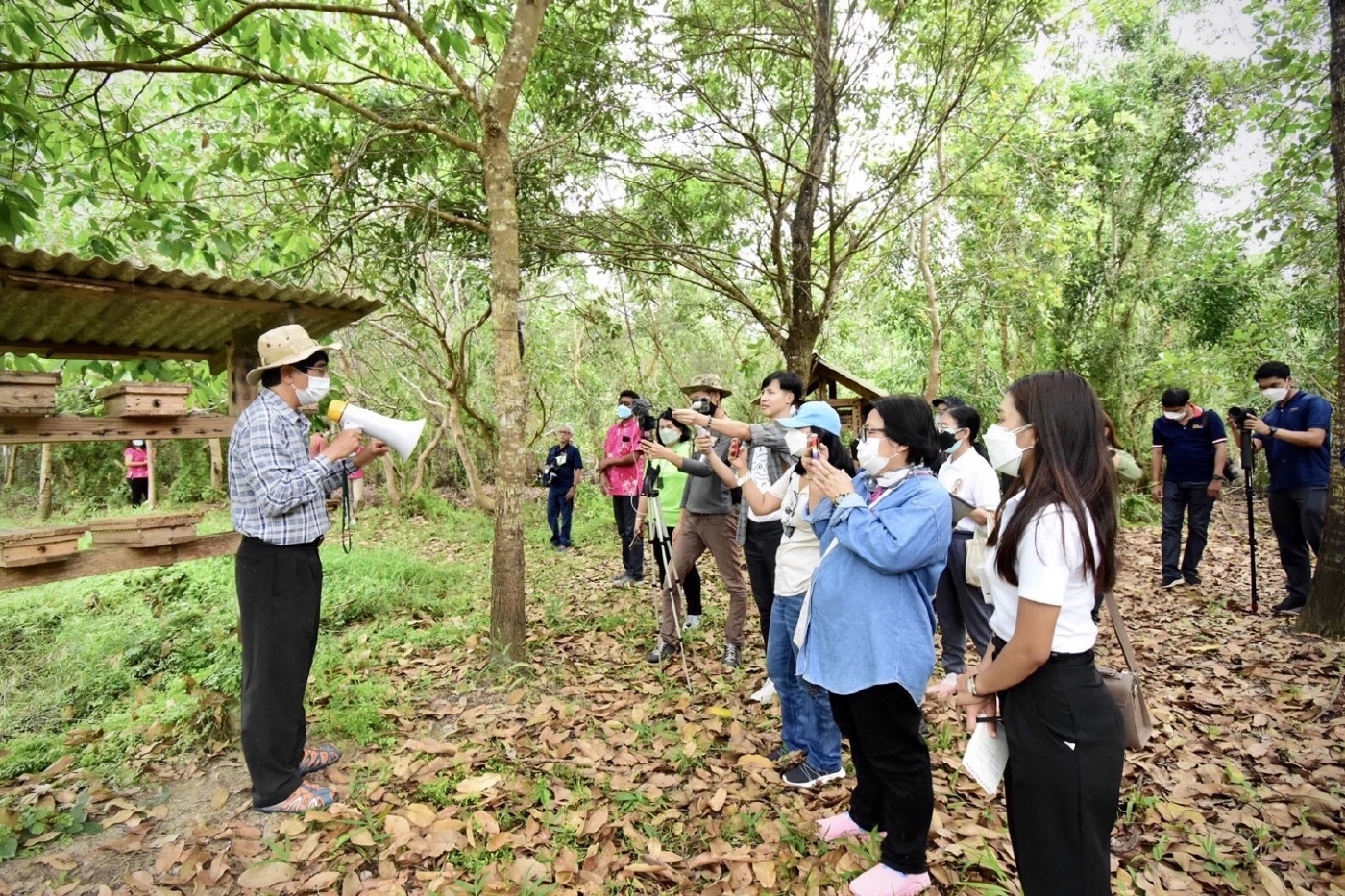 วช. ผนึก ม.หาดใหญ่ พลิกฟื้น “ป่าชายเลนทะเลสาบสงขลา” เสริมระบบนิเวศ