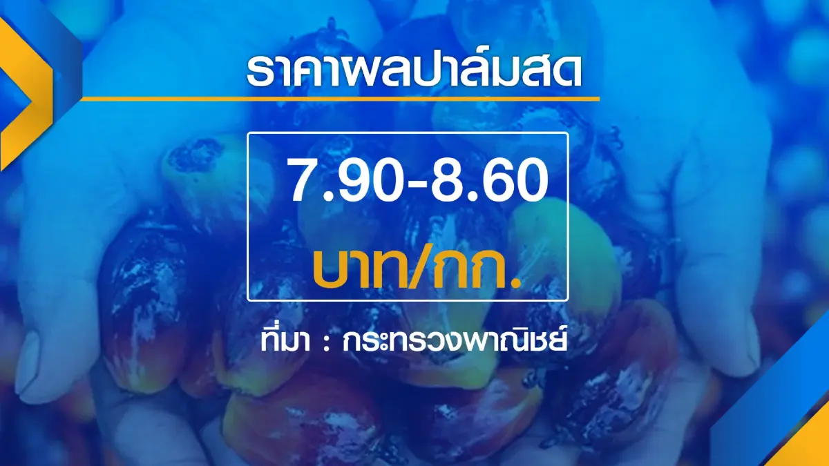 จับตาปรับสูตรไบโอดีเซลเหลือบี 5 กดดันราคาปาล์มดิ่ง
