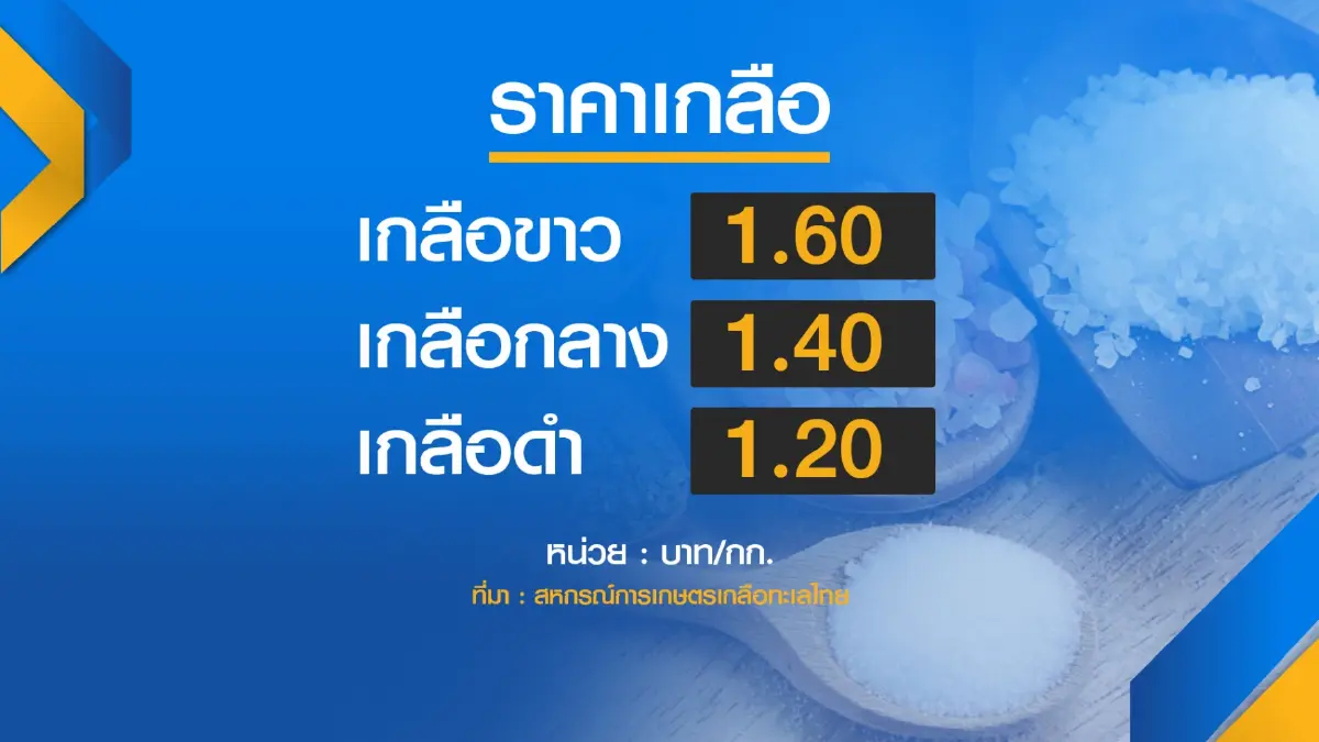 ฝนถล่มนาเกลือสูญ 5 หมื่นตัน ราคาพุ่งแต่ไร้ผลผลิต