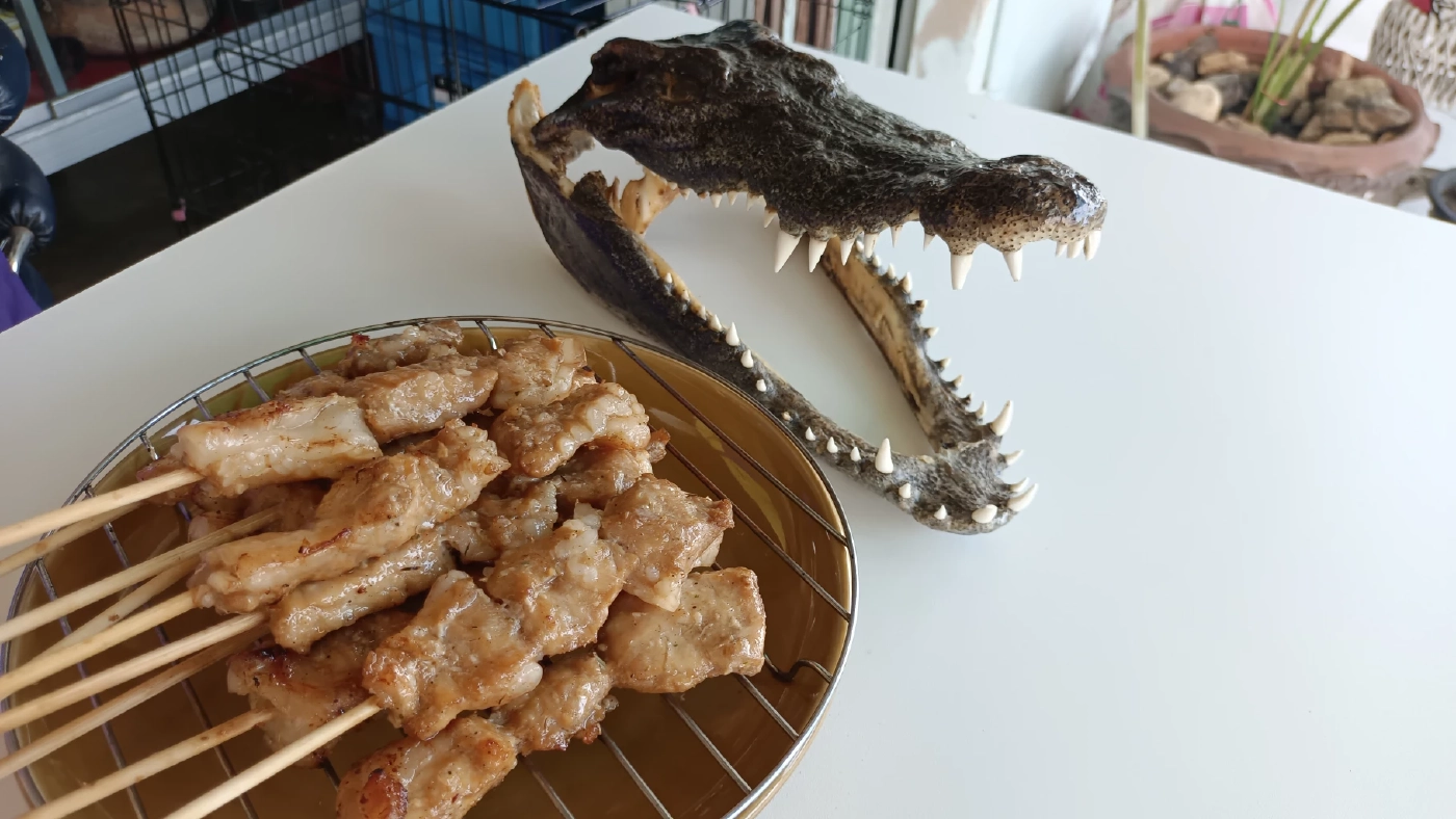 พลิกวิกฤติหมูแพง"ธนาจระเข้ย่าง"เจ้าแรกเจ้าเดียวในจ.ตรัง