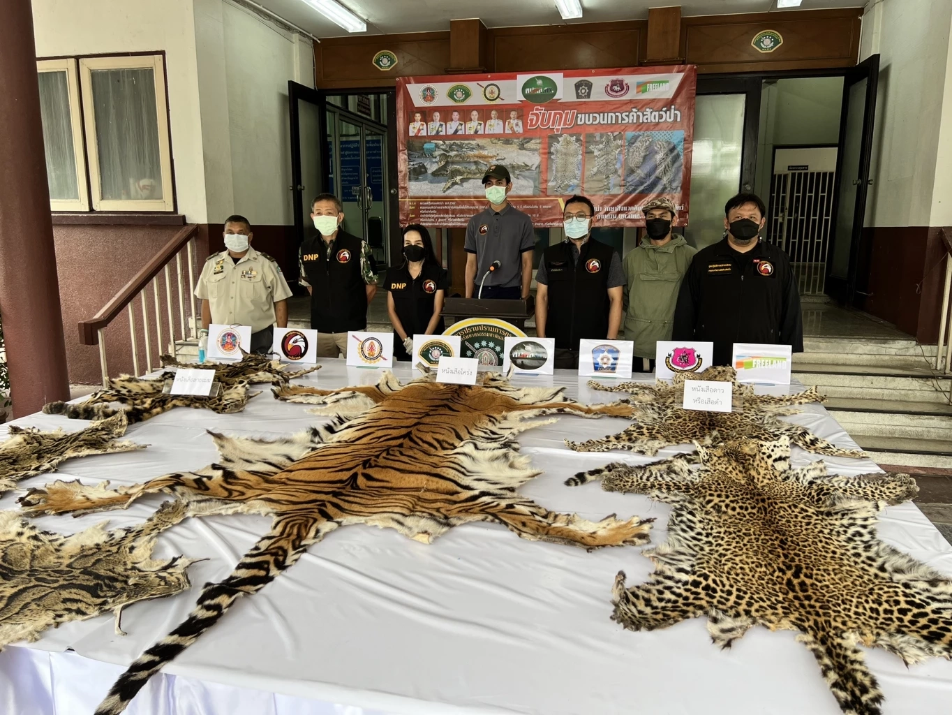 ตำรวจ ปทส. จับแก๊งค้าสัตว์ป่าและซาก พร้องของกลางจำนวนมากที่กาญจนบุรี