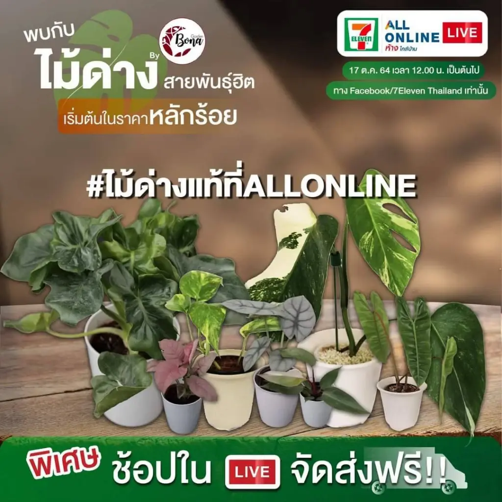 วิจารณ์สนั่นหลัง “7-Eleven” ลงสังเวียนไลฟ์ขายของ