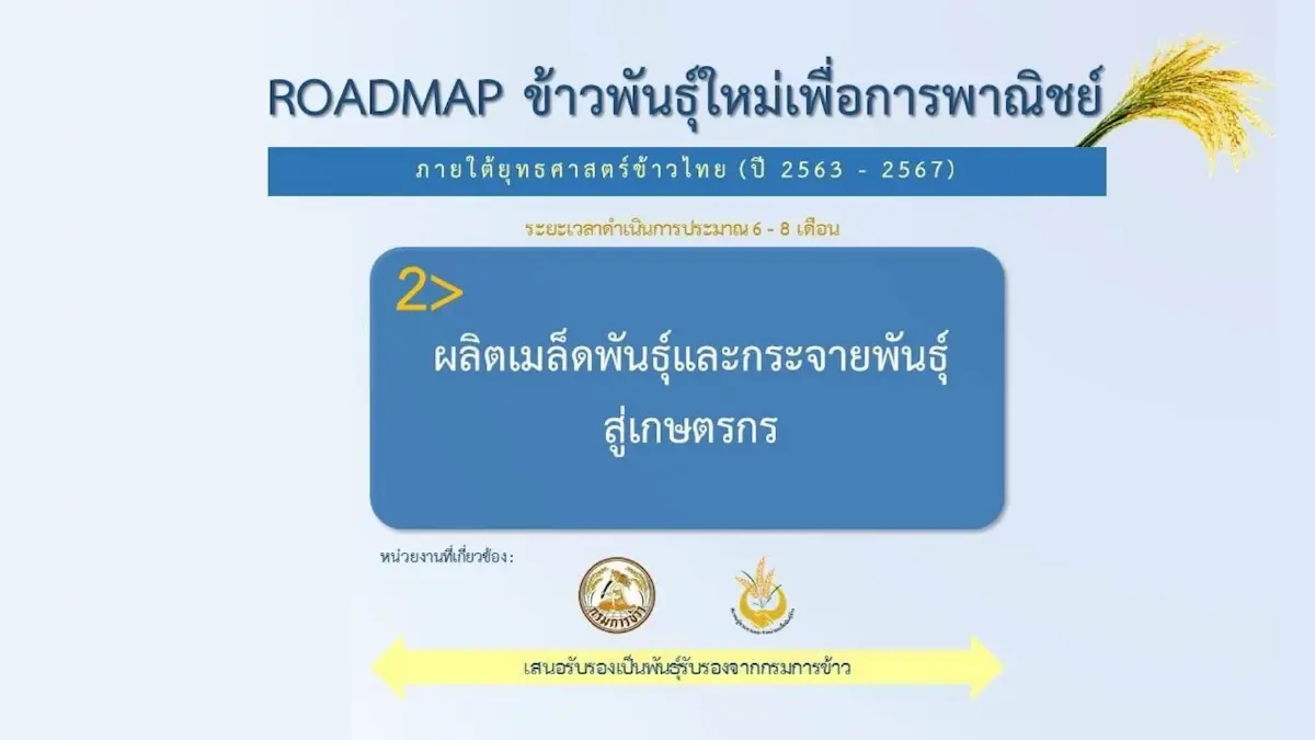ศูนย์วิจัยข้าวปทุมธานี คว้ารางวัล 'ข้าวหอม'