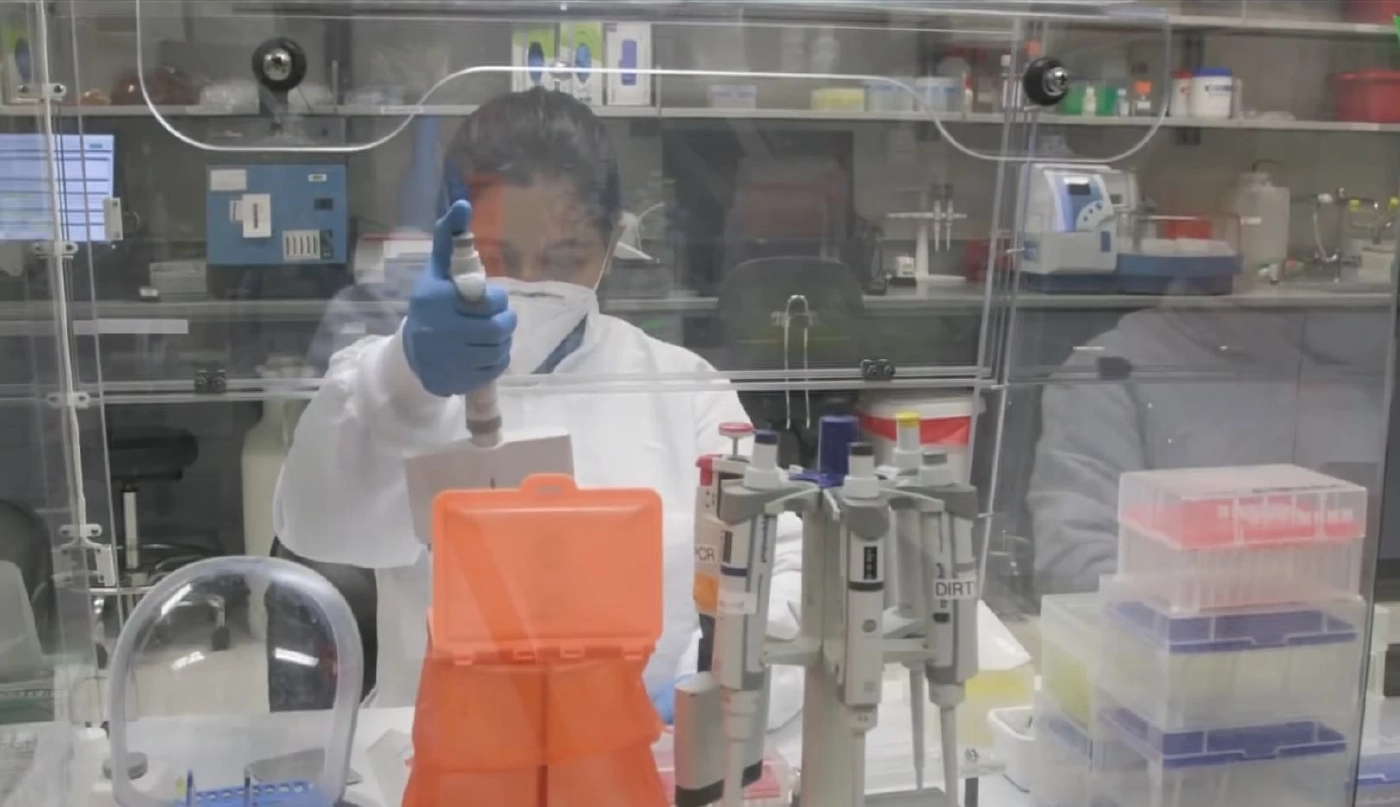 นิวยอร์กพบโอมิครอนในกวางป่า หวั่นเป็นแหล่งเพาะเชื้อไวรัสสายพันธุ์ใหม่