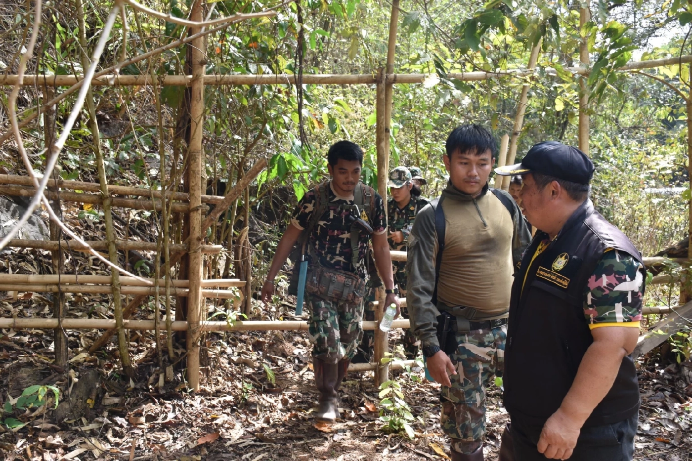 นักวิจัยชี้เจ้า 3 ขา เสือพเนจร ชาวบ้านยังผวาติดสปอร์ตไลท์ส่องคอกสัตว์