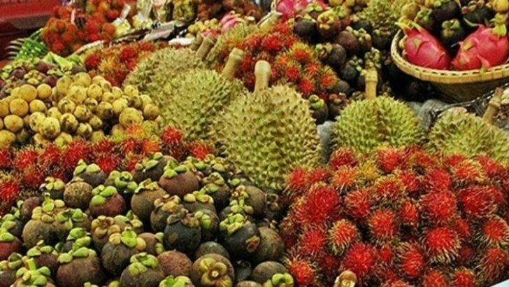 "เกษตรไทย"จะไปไกลถึง"ครัวโลก"แต่ให้งบคุมมาตรฐานแค่หยิบมือ โดยขุนเกษตร