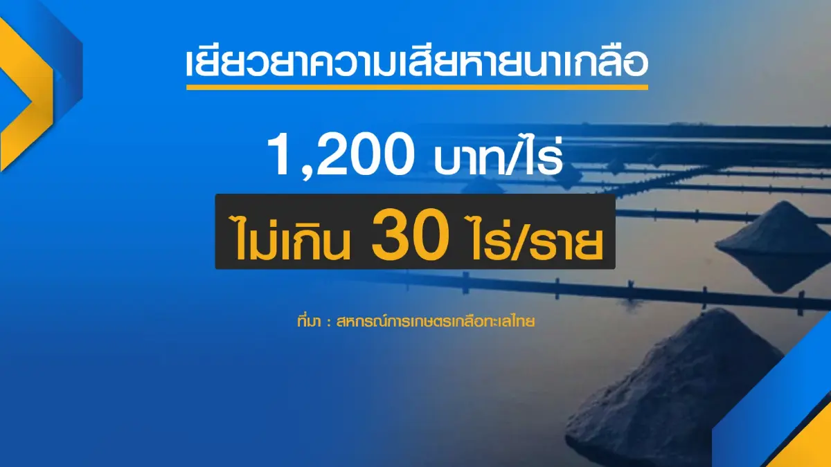 ฝนถล่มนาเกลือสูญ 5 หมื่นตัน ราคาพุ่งแต่ไร้ผลผลิต