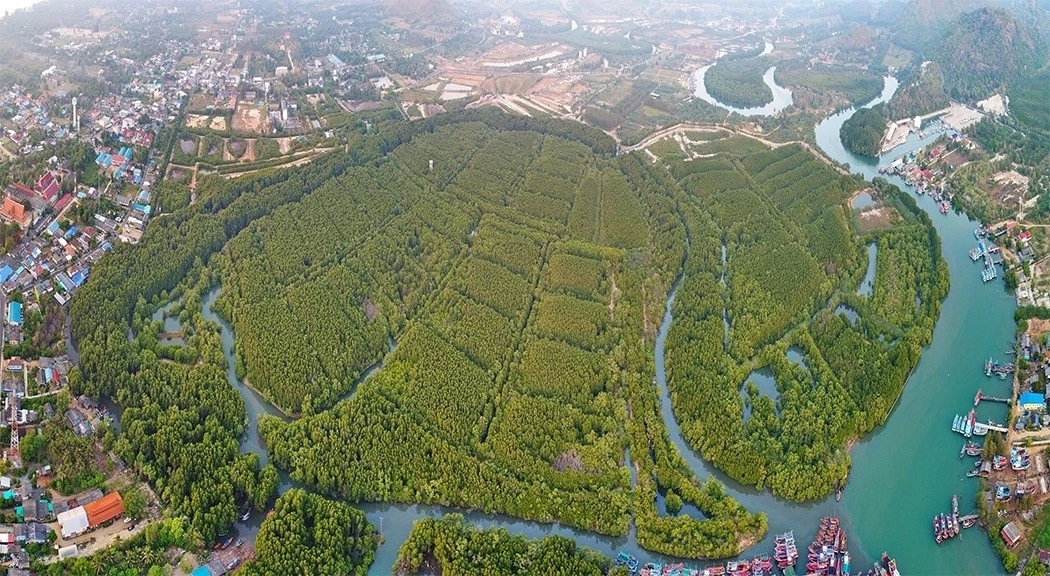 ทช.ร่วมปตท. เดินหน้าศูนย์ศึกษาเรียนรู้ระบบนิเวศป่าชายเลนสิรินาถราชินี