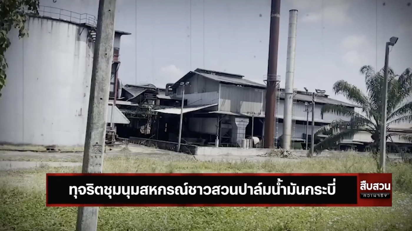 สืบสวนความจริง : ทุจริตชุมนุมสหกรณ์ชาวสวนปาล์มน้ำมันกระบี่