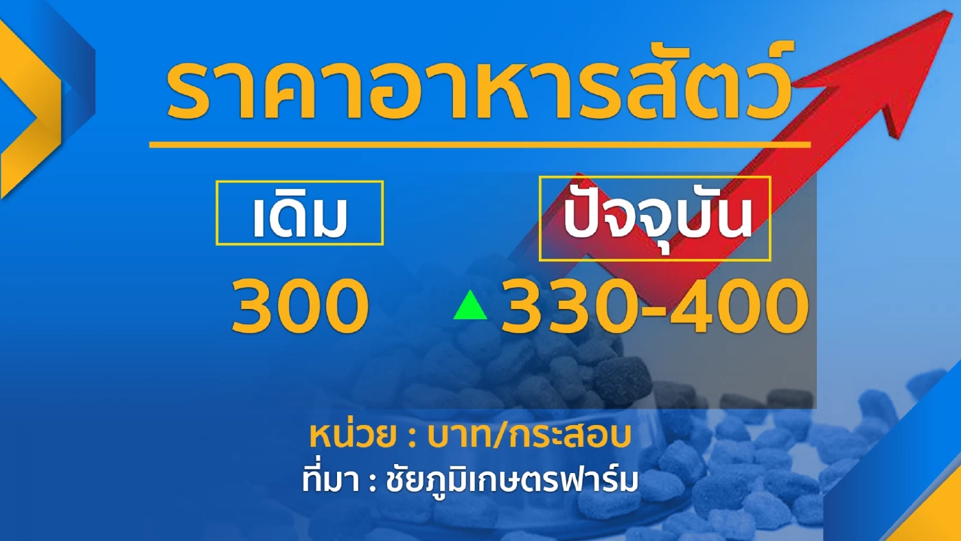 ยอดขายลดฮวบ! ร้าน 'อาหารสัตว์' จ่อปิดกิจการ
