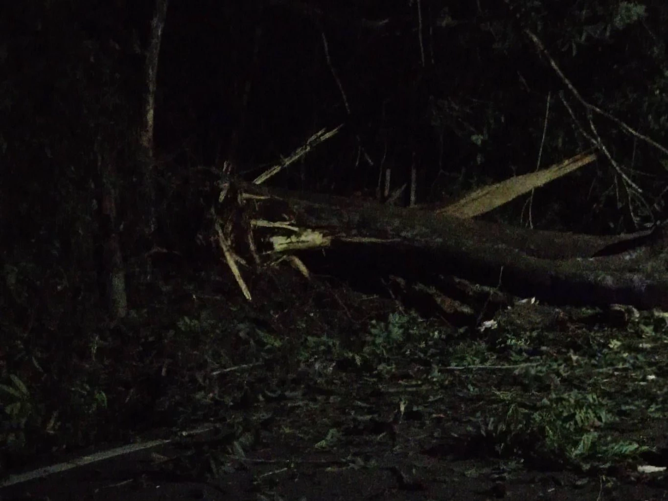 ลอบวางระเบิดสร้างสถานการณ์ชายแดนใต้