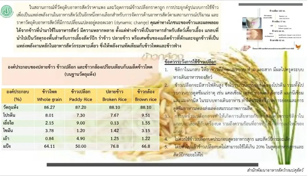 "รัสเซีย-ยูเครน"สู้รบ กระทบอาหารสัตว์ ปศุสัตว์ร่วมถกหาแนวทางพร้อมรับมือ