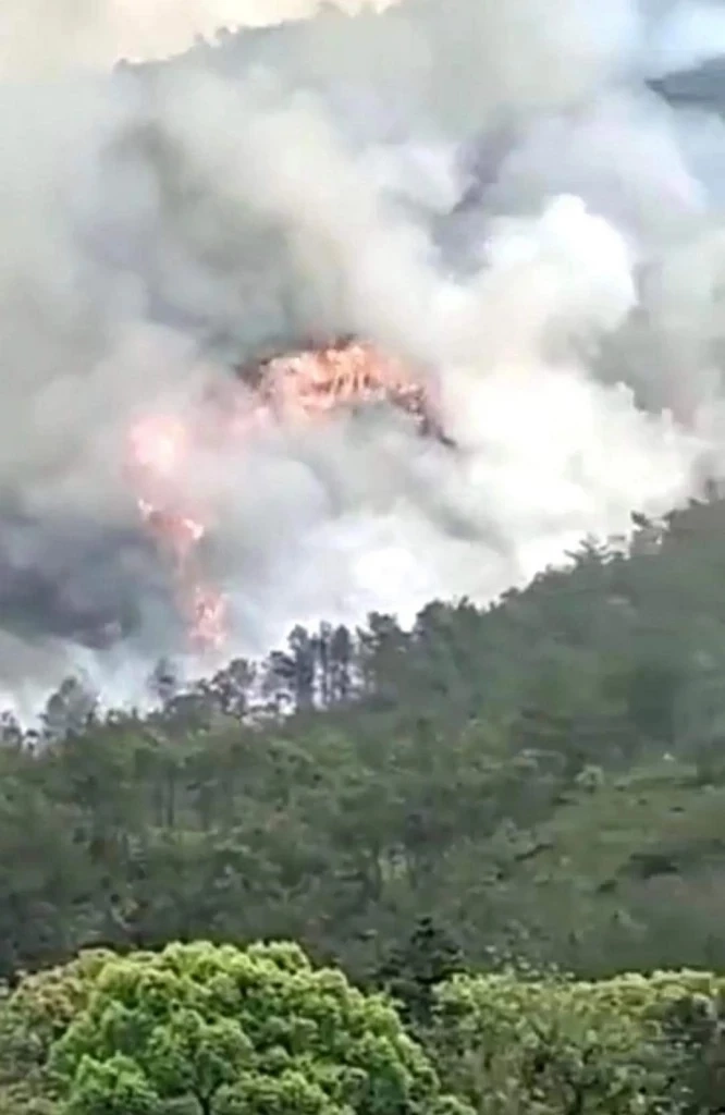 กรณีเครื่องบินโบอิ้ง 737 ไชน่าอีสเทิร์น ตกหุบเขา จีนยืนยันเสียชีวิตยกลำ