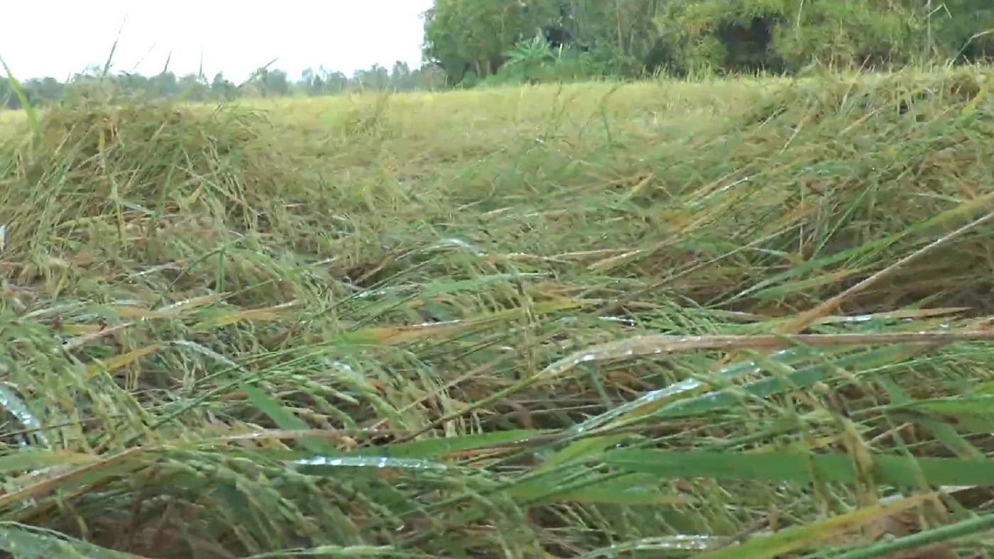 กระหน่ำกลางดึก "พายุฤดูร้อน" พัดถล่ม งานมหกรรมของดีวิถีสตรี เมืองอู่ไทย