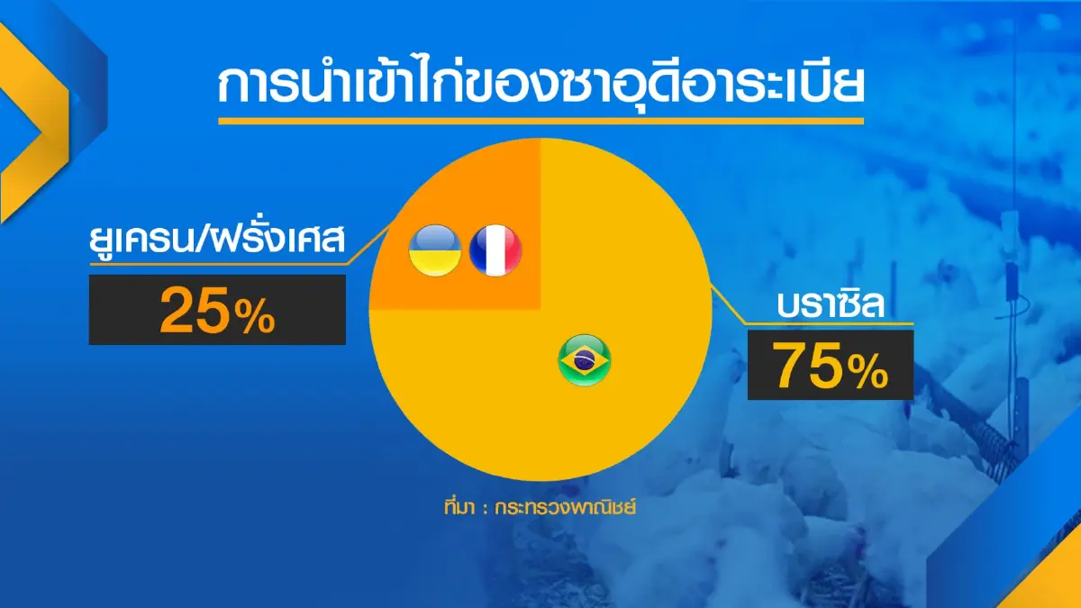 ไทยส่งไก่ซาอุดีอาระเบีย 'ล็อตแรก' ในรอบ 18 ปี