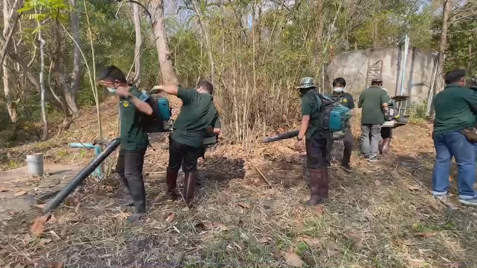 สวนสัตว์เชียงใหม่รับมือฤดูร้อนทำแนวกันไฟป่า