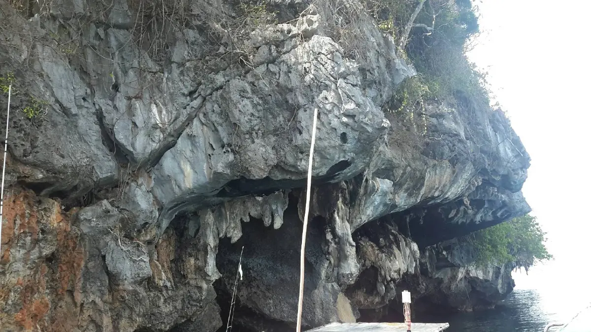 เกาะรังนกจ.ตรัง