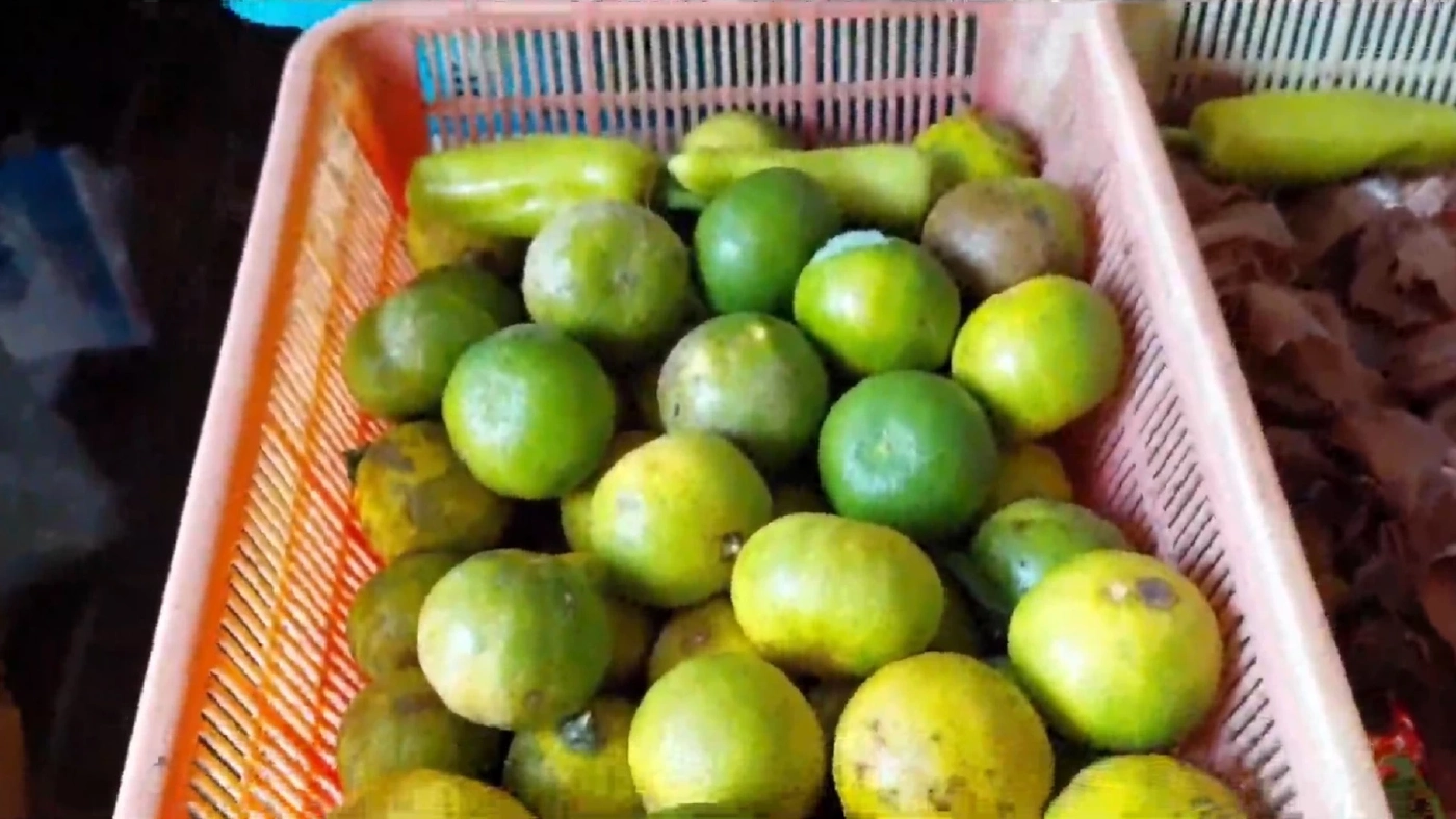 มะนาวเบตงแพงมาก! ลูกละ 7 บาท ชี้มีแนวโน้มปรับสูงขึ้นอีก