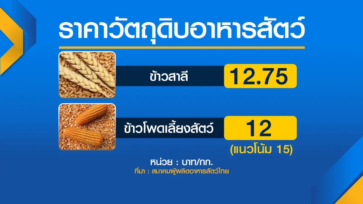 ลุ้นบอร์ดข้าวโพดเคาะยกเลิกมาตรการ 3:1