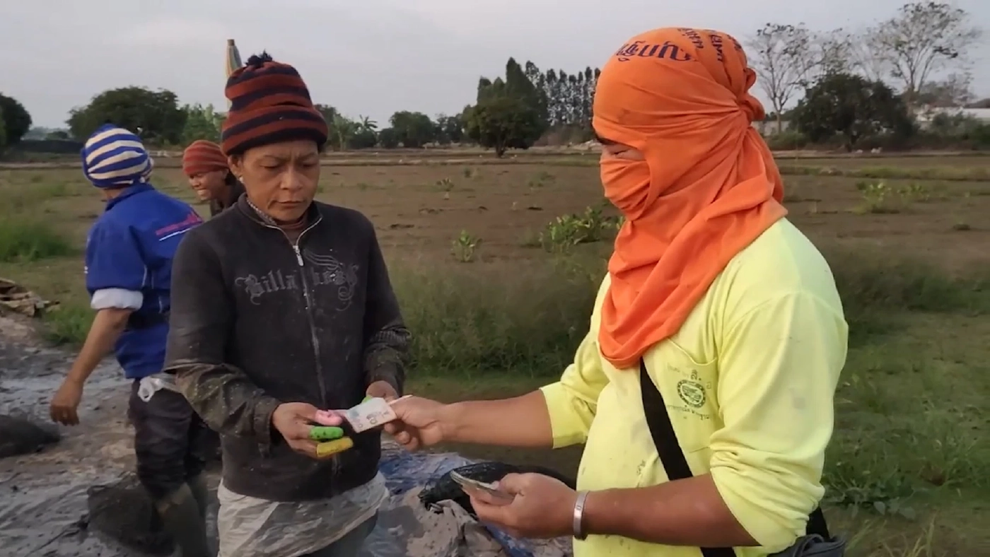 'นาแห้ว' ศรีประจันต์ แห่งเดียวของไทยทำเงิน 3 หมื่น/เดือน