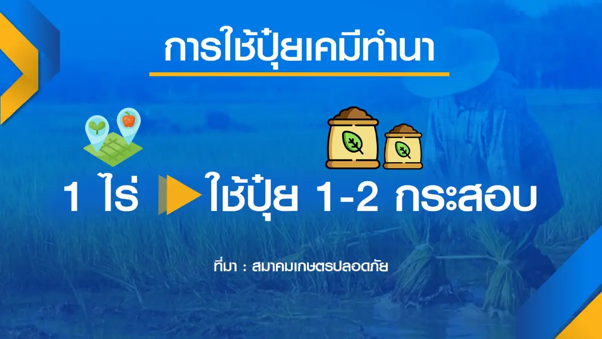เกษตรกรชี้ปุ๋ยแพงไม่น่ากลัวเท่า 'ขาดตลาด'