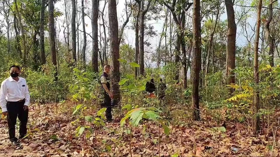 พะเยาระดมกำลังตามหาผู้เฒ่าวัย 83 ปีหายตัว3วัน