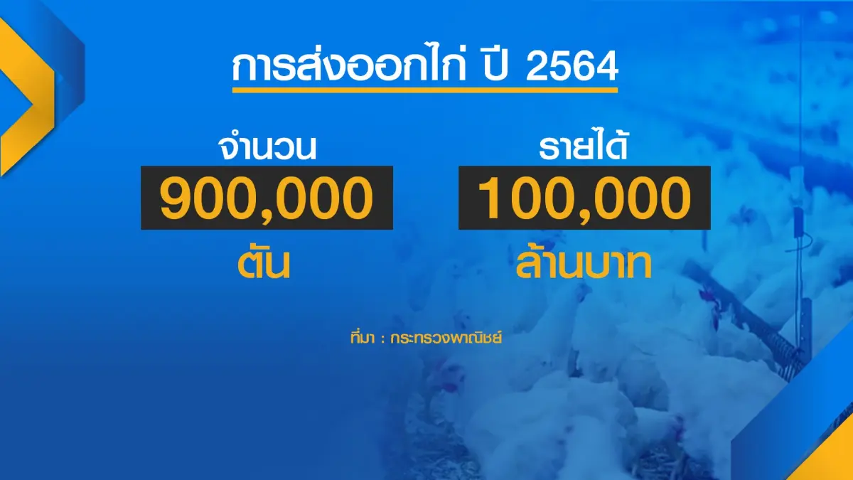 ไทยส่งไก่ซาอุดีอาระเบีย 'ล็อตแรก' ในรอบ 18 ปี