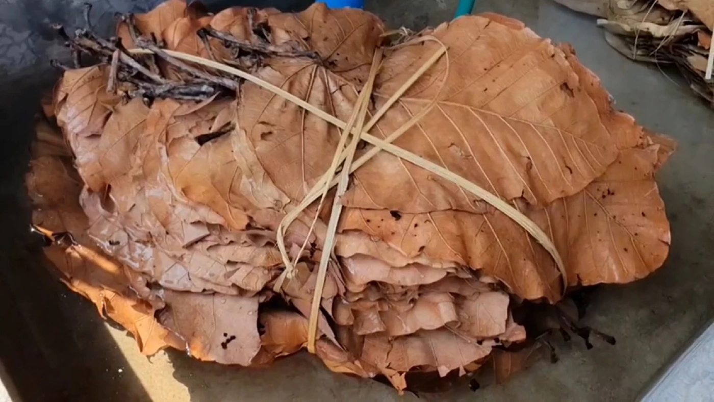 'ใบตองตึง' สร้างรายได้เดือนละหมื่นห้า-แก้ไฟป่า