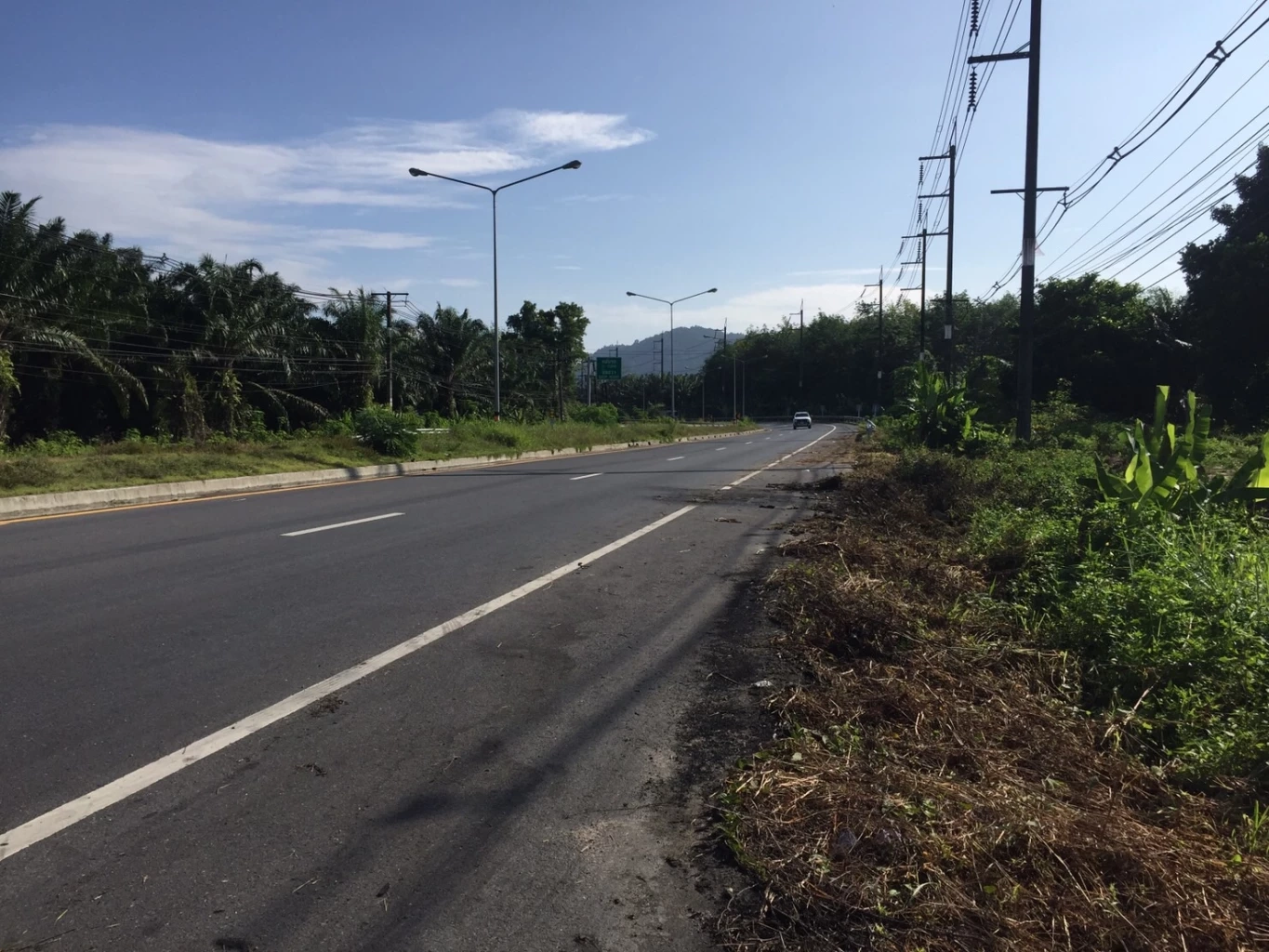 ตั้งข้อสงสัย "ไฮโซปลาวาฬ" ไม่ตรวจแอลกอฮอล์