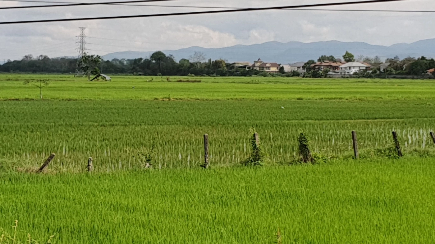 พ่อค้าโอดปุ๋ยแพงในรอบ20ปีกระทบยอดขาย