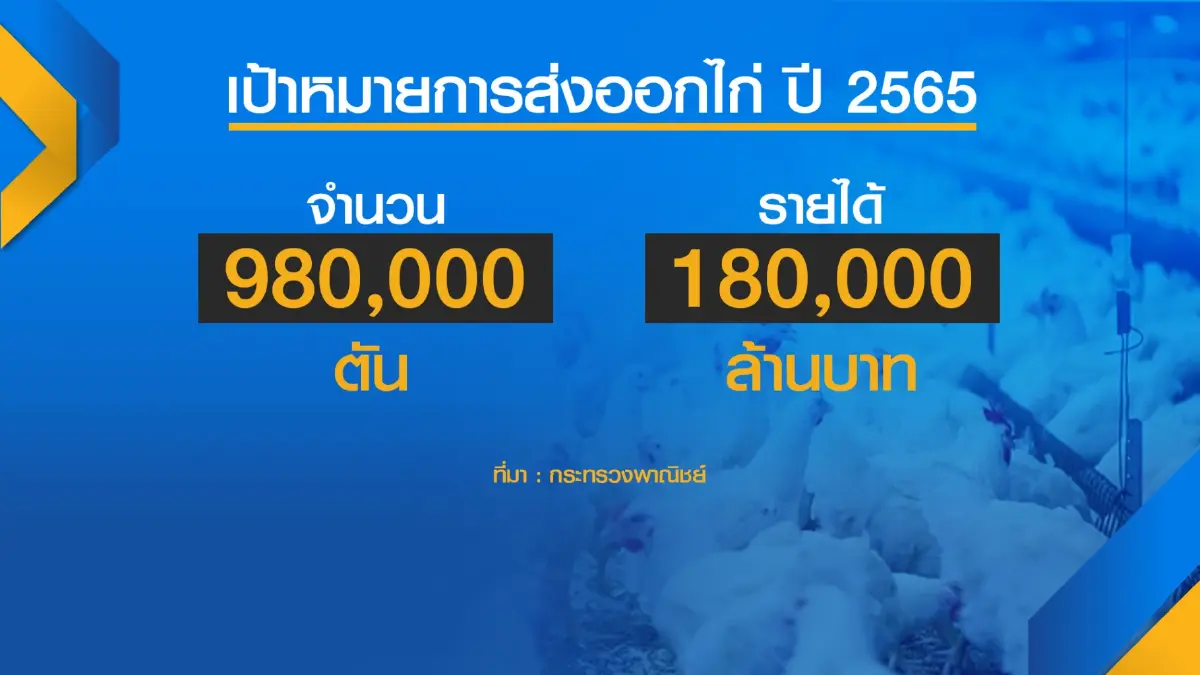 ไทยส่งไก่ซาอุดีอาระเบีย 'ล็อตแรก' ในรอบ 18 ปี
