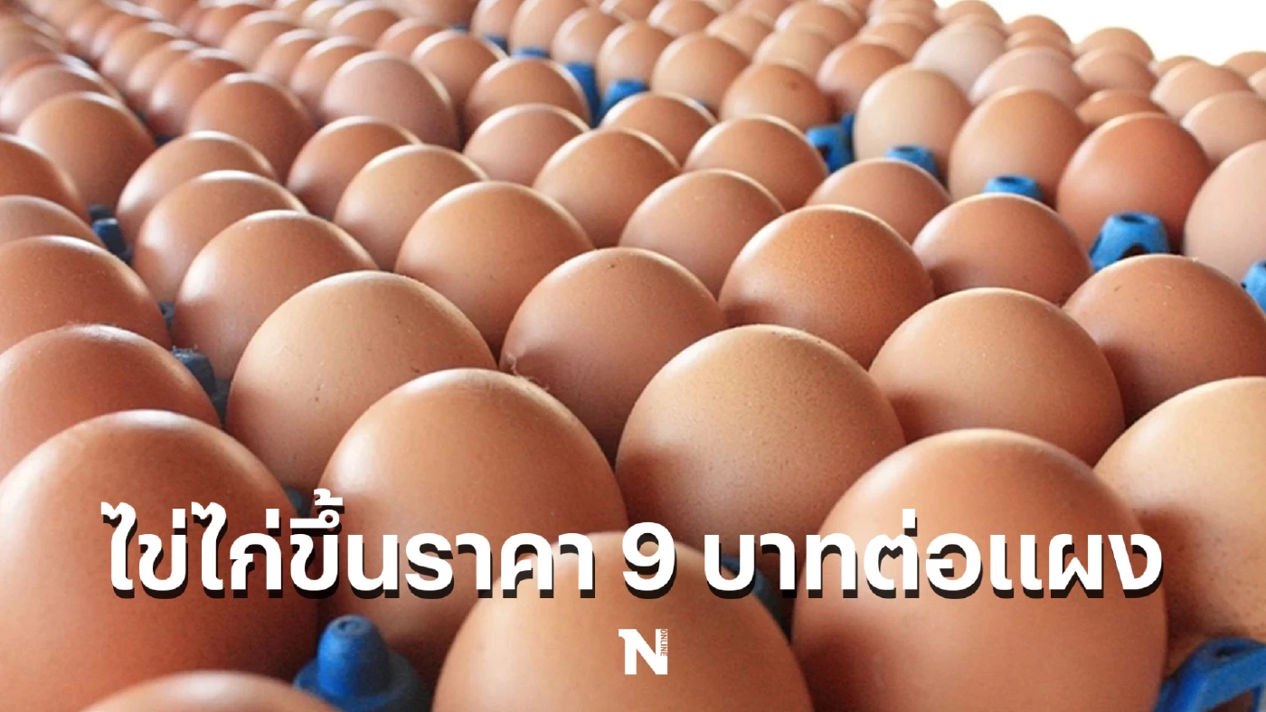 เช็กราคาไข่ไก่ ล่าสุดปรับขึ้น 9 บาทต่อแผง