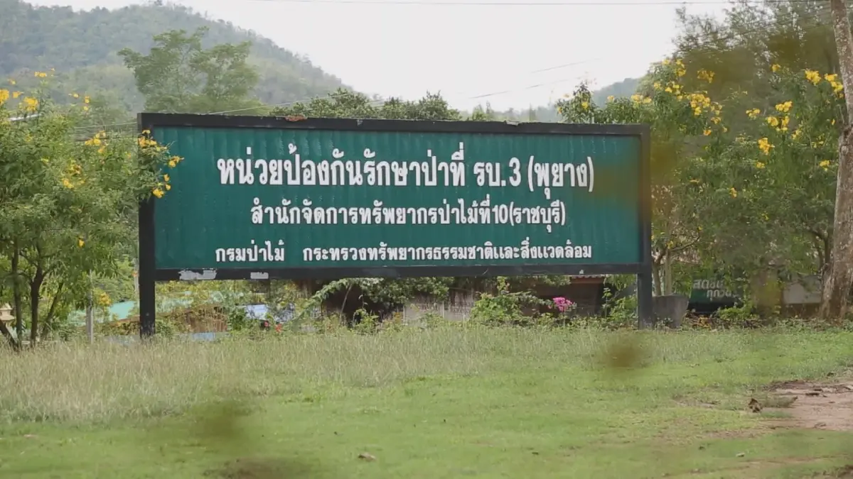 ย้อนคดีรุกป่าสวนผึ้งโยง"เจ้าพ่อโรงนวด" นอมินีรับผิดแทน?