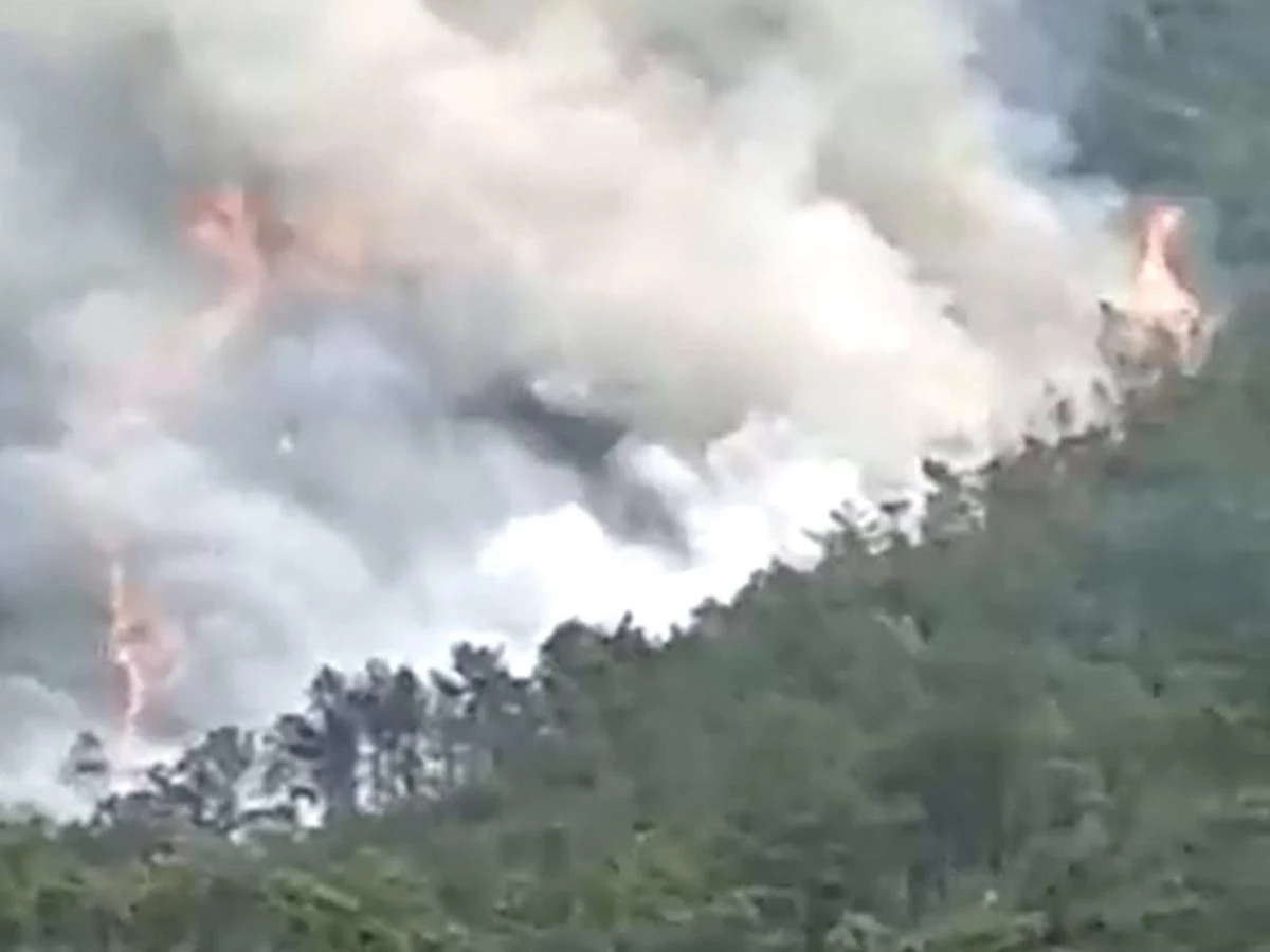 เครื่องบินโดยสารจีนตก ยังไม่ทราบชะตากรรม 132 ชีวิต