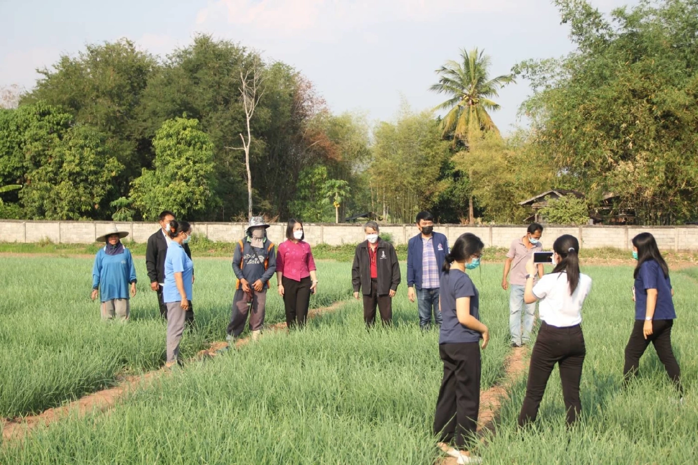 เกษตรกรผู้ปลูกหอมแดงโอดราคาร่วงเหลือกก.5 บาท