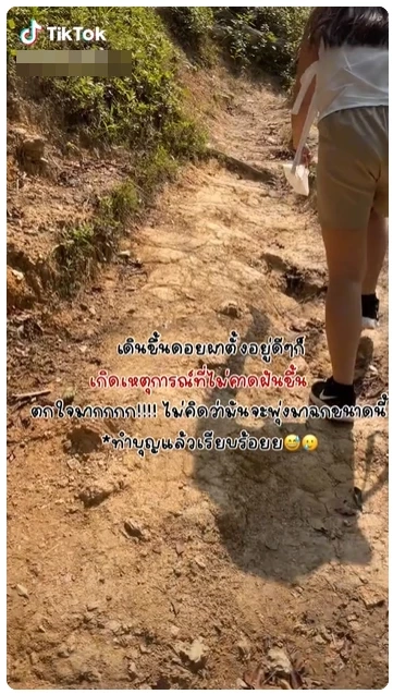 สาวโพสต์ Tiktok เดินเที่ยวดอยผาตั้ง จู่ ๆ ถูกงูพุ่งฉก งานนี้วิ่งกันป่าราบ