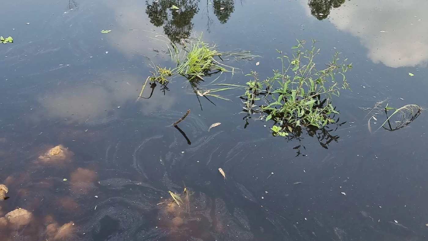 โรงงานไฟฟ้า เขตอุตสาหกรรม 304 แตกรั่วลงคลองรั้ง จ.ปราจีนบุรี 