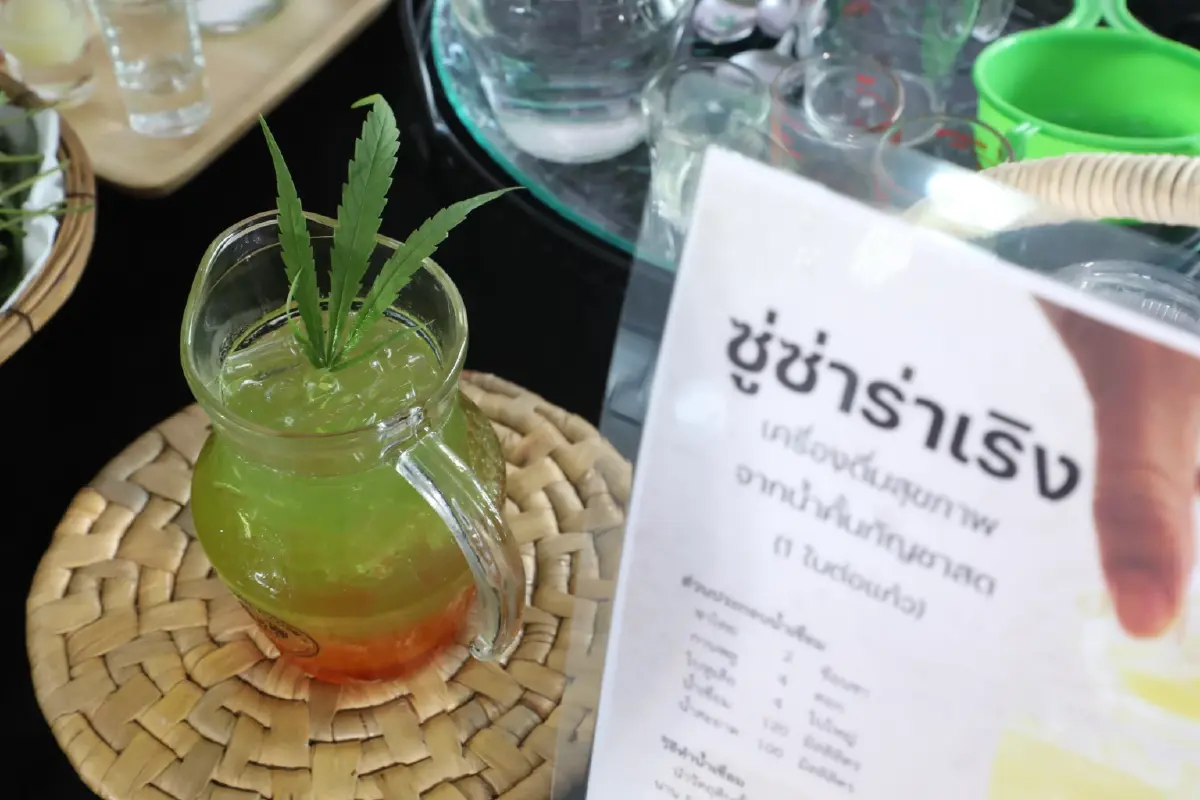 เปิดคำพิพากษาศาลขอนแก่น ปลูกกัญชา 1 ต้น จำคุกกี่เดือน ภท.ย้ำปลดยาเสพติดแล้ว