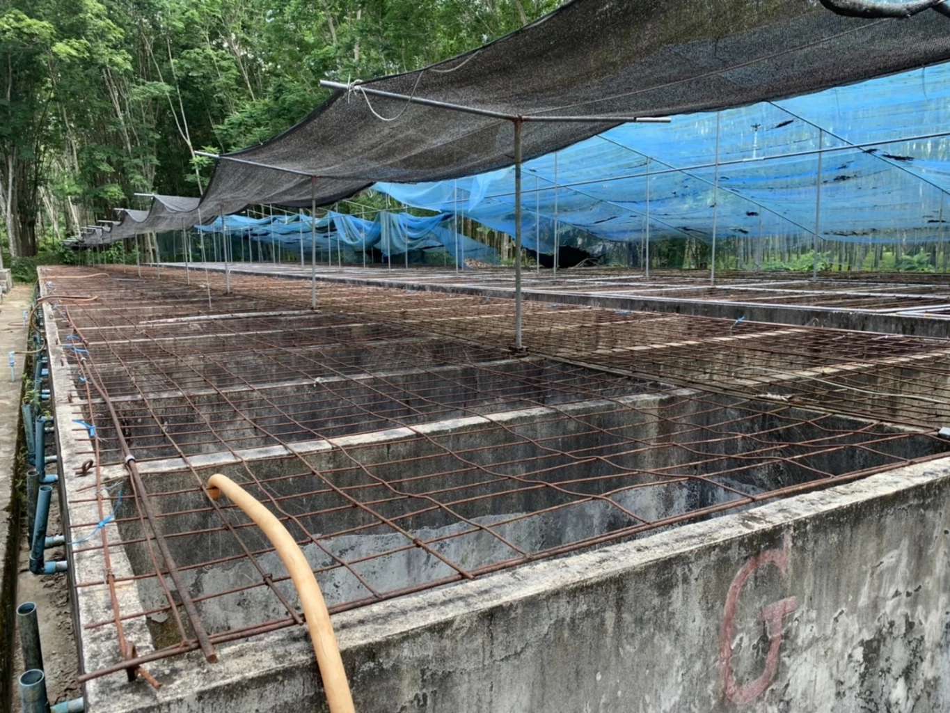 ฟาร์มจระเข้รายใหญ่ที่สุดในจ.ตรัง