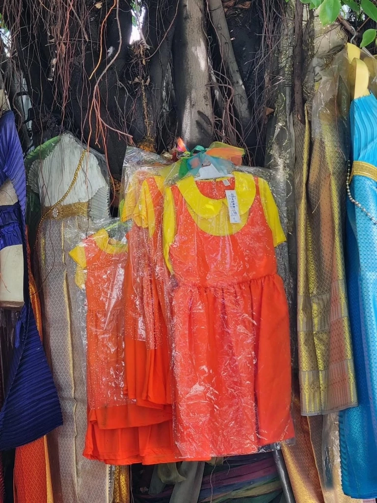 เบื่อแล้วชุดไทย เพจดังแชร์ภาพคนแห่ถวาย “ชุดโกโกวา” แก้บนเต็มต้นไทร