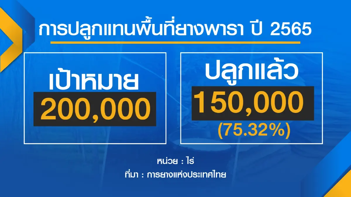 เกษตรฯคาดผลผลิต 'ยาง' 4.9 ล้านตัน เพิ่ม 1.48%