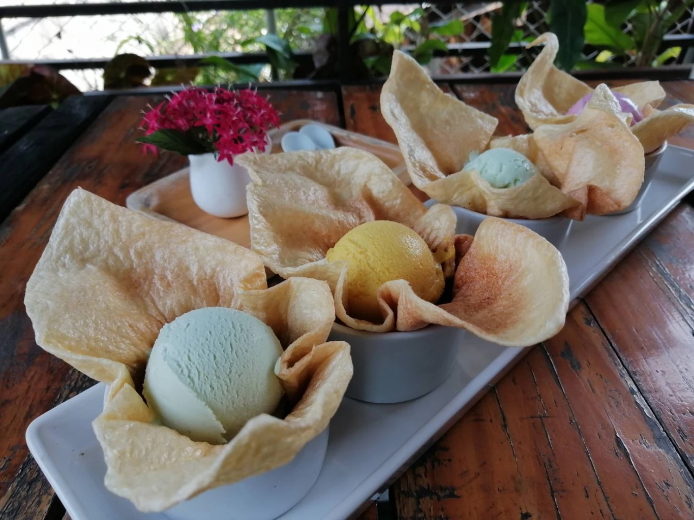 คลายร้อนกับ“ไอติมออแกร์นิก”สร้างรายได้หลักหมื่นต่อเดือน