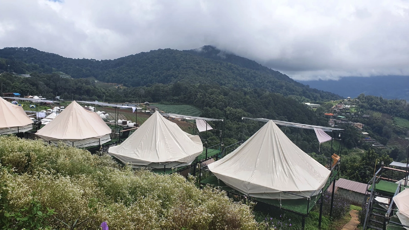 โรงแรมภาคเหนือโอด“เราเที่ยวด้วยกัน เฟส3”พ่นพิษ