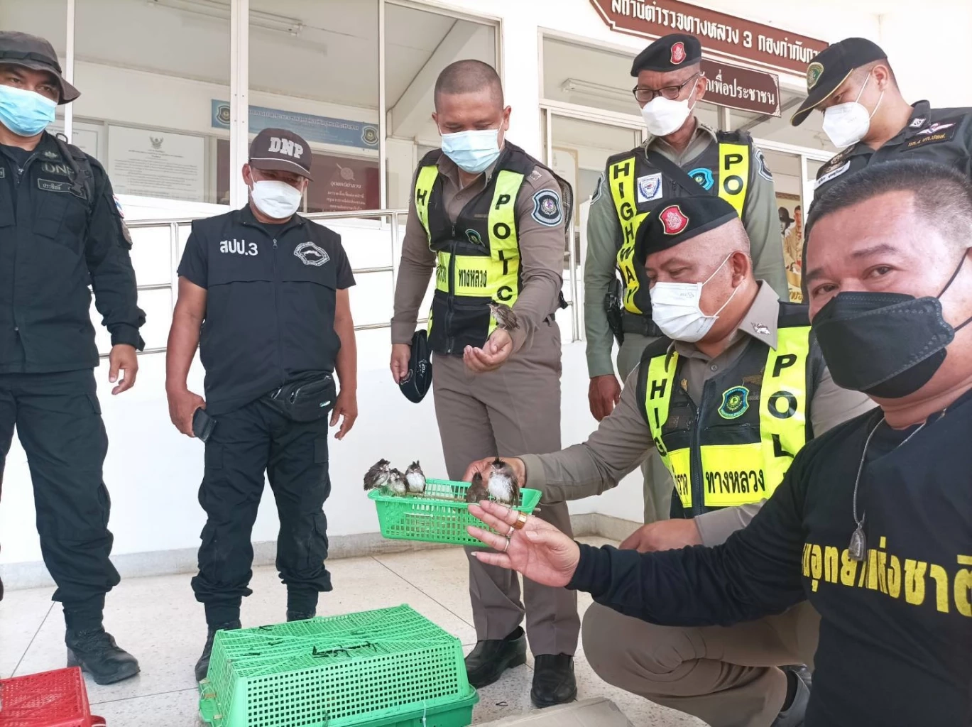 จับนกปรอดหัวจุก 300 ตัว ยัดในลังพบหลายตัวร้อนตาย