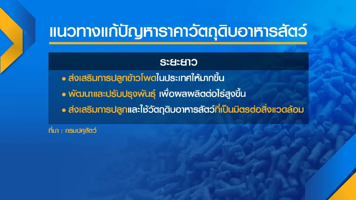 กรมปศุสัตว์เปิด 'นำเข้า-ยกเลิกภาษี' แก้อาหารสัตว์แพง