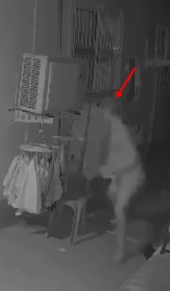 "อาตมา" เผ่นก่อนนะโยม "หมอปลา" บุกค้นวัดดังแปดริ้ว ลุยจับพระ "ขโมย กกน.สาว"